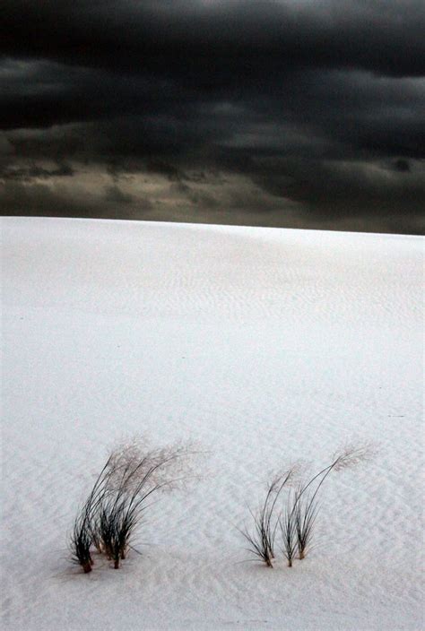 Beautifully Bleak Landscape Foto Inspiration Kunstwerke Fotos