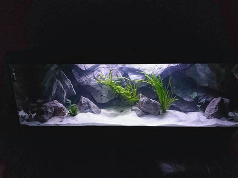 Aquadecor Custom Made A Model Aquarium Backgrounds 3d Aquarium