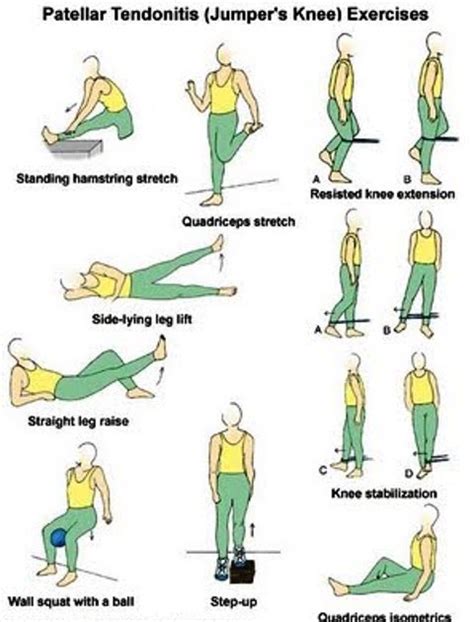 Exclusive Physiotherapy Guide For Physiotherapists Exercise For