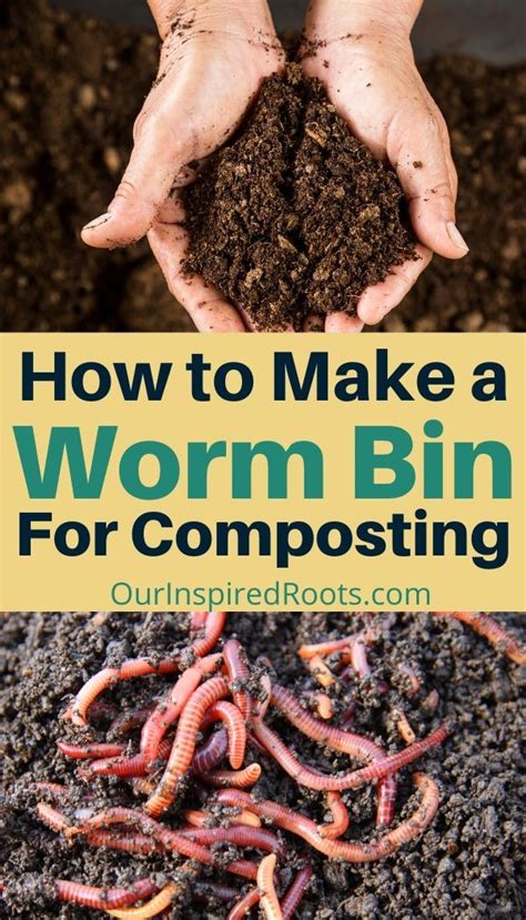 Want To Try Worm Composting Vermicomposting Is An Easy Way To Turn