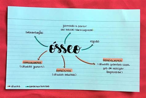 Mapa Mental Sobre Tecido Ósseo Study Maps