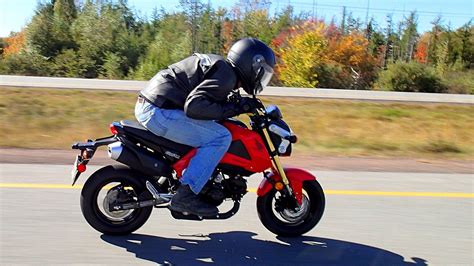 Car enthusiasts in the country are lucky to have a wide variety of honda passenger cars, mpv, suv, and vans offered by the hcpi. 2020 Honda Grom Check more at http://www.autocars1.club ...
