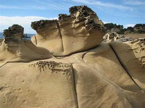 Sandstone Tafoni Salt Point David Berry Flickr