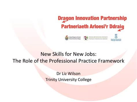 Ppt New Skills For New Jobs The Role Of The Professional Practice