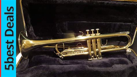 Top 5 Best Trumpet 2023 Youtube