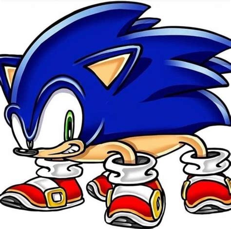 Sonic The Real Hedgehog Sonicthehedgehog