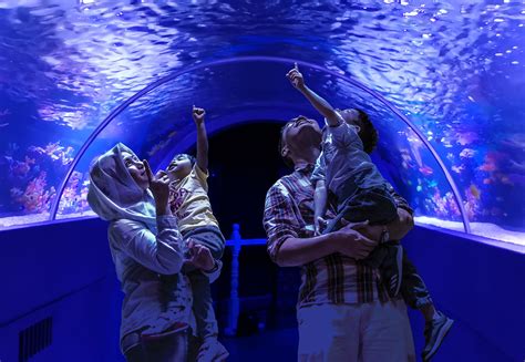 The shore oceanarium aquarium melaka | melaka attractions the shore oceanarium is a new tourist attraction in malacca. The Shore Oceanarium Phase 2 Promises An All New Adventure ...