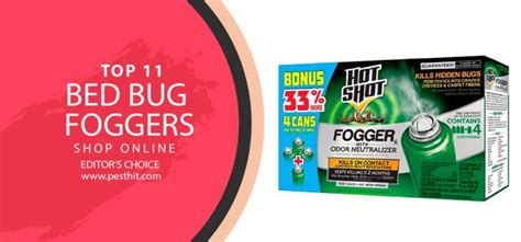 Best Bed Bug Foggers 2023 Top 11 Bed Bug Foggers