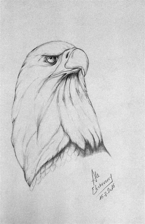 🔥pencil Drawings For Tattoo Pencil Drawings Of Animals Eagle Drawing