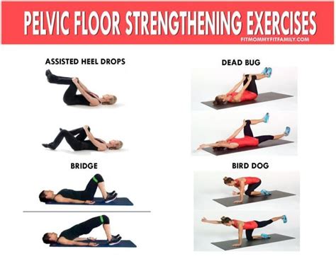 Exercises To Strengthen Pelvic Floor And Core Exercisewalls