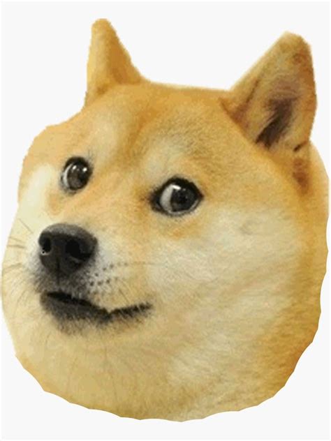 Shibe Doge Face Sticker By Catfantastic Doge Meme Animal Memes Dog