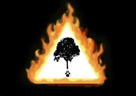 We did not find results for: 52.802 hectáreas forestales quemadas en CLM desde 2000, 37 ...