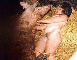 Pig Sex Farm Xxx Pig And Boar Sex With Sexy Female Farmer Who