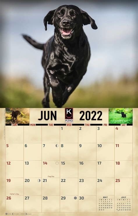 2022 Black Labrador Dog Wall Calendar The King Company