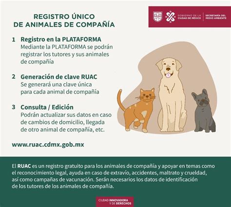 Un Tutorresponsable Registra A Sus Perritos Y Gatitos En El Ruac ⤵️ ¡amigos😱🐶😱🐶 Ya Pueden