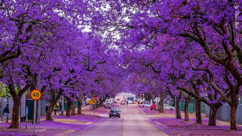 24 Most Beautiful Streets In The World Youd Want To Live At