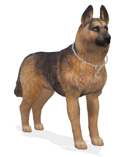 Bruce The German Shepherd Dog At Enchanting Essence The Sims 4 Catalog