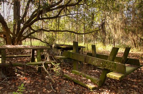 Photos Of An Abandoned Disney World Being Reclaimed By Nature Petapixel