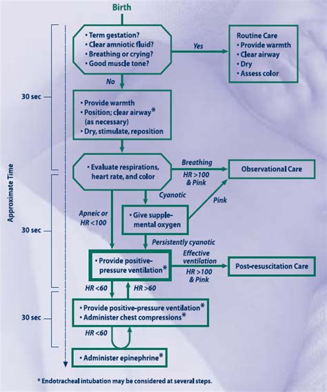 Neonatal Resuscitation Flow Chart