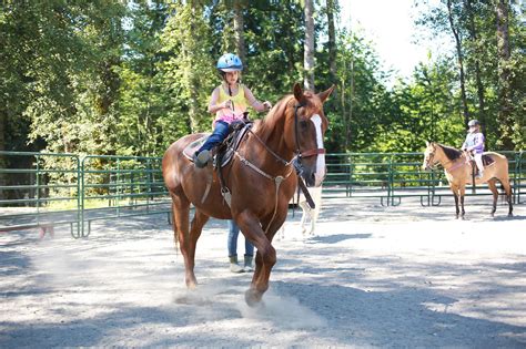 8 Memories From Summer Horse Camp That Will Make You Nostalgic Horse