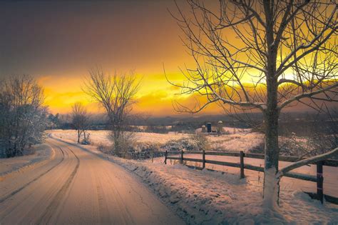Yellow Winter Sunset Wallpapers And Images Wallpapers