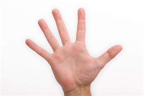 Best Palm Human Hand Outline Men Stock Photos Pictures And Royalty Free
