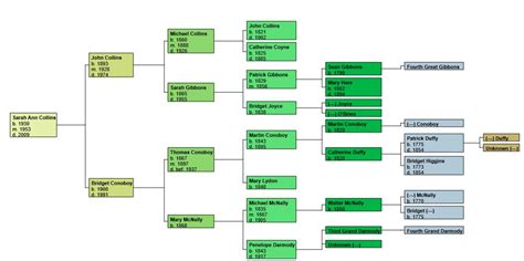 Common Ancestor