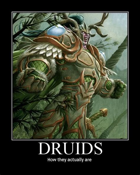 Dandd Meme World Of Warcraft Druid Night Elf Warcraft Art