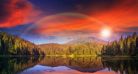 Pine Forest And Lake Near The Mountain Early At Sunset Stock Image