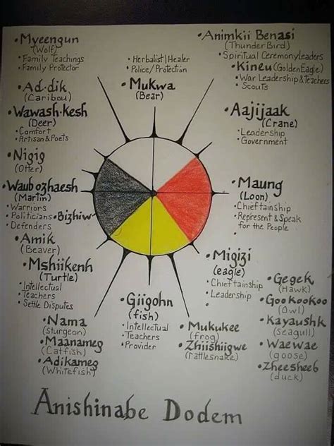 Anishinaabe Clan Teachings From A Fb Friend Teachings