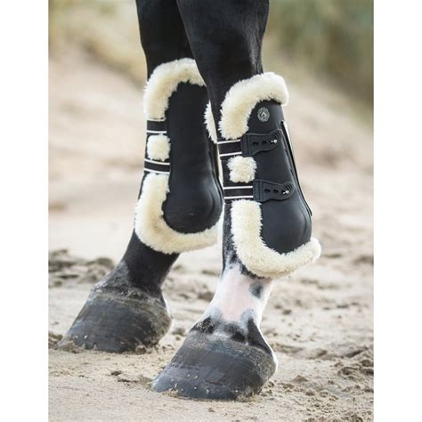 Show Jumping Horse Boots Australian Online Saddlery Active Equine