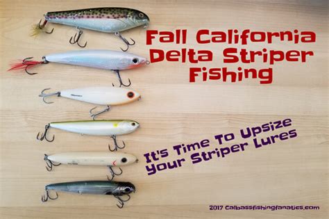 Fall California Delta Striper Fishing Calbassfishingfanatics