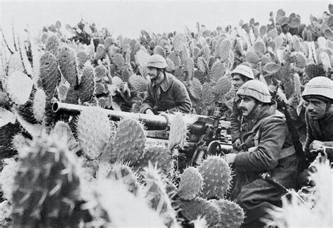 Axis Forces In Tunisia 1943 Oob Comando Supremo