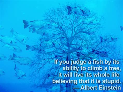 Fish Tree Einstein Quote Sources Fish School 3 By Tobze Flickr