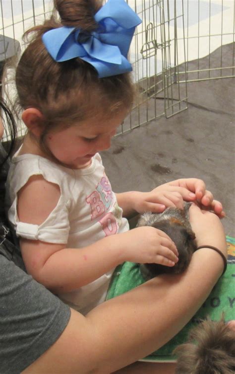 We preform hundreds of shows in libraries and schools. Tiny Tails traveling petting zoo visits Elgin | Elgin Courier