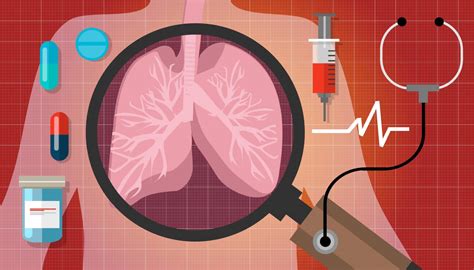 Breathing Process Respiratory System