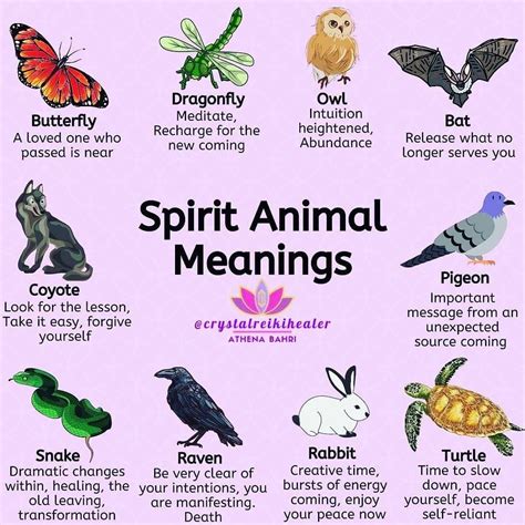 Psychic Animals Meaning Spirit Animal Meaning Animal Meanings