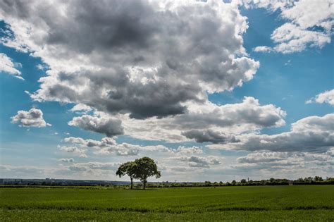 Fond Décran Bleu Des Arbres été Ciel Vert La Nature Champ Des