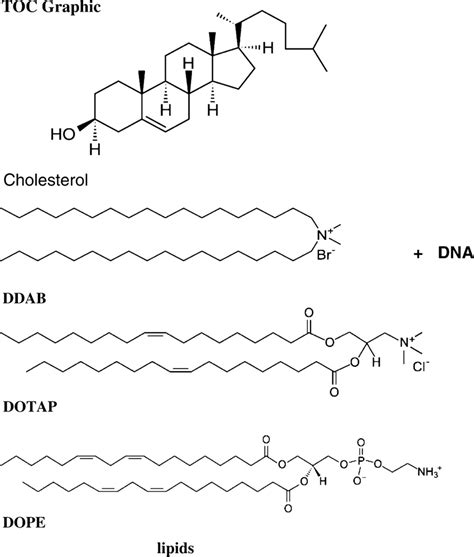 Scheme 1 Structures Of Lipids Download Scientific Diagram