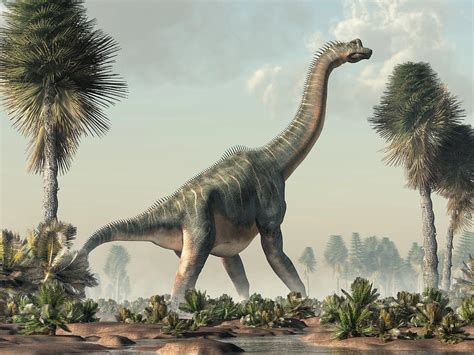 Brachiosaurus In A Wetland Digital Art By Daniel Eskridge Pixels
