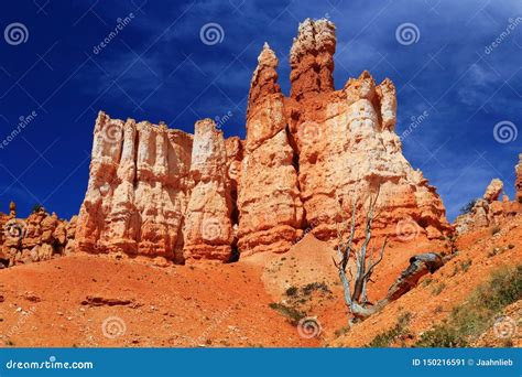 Imposing Erosion Formations In Queen S Garden Southwest Desert Bryce