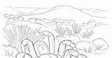 Desert Biome Outline Clipart Coloring Landscape Pages Animals Colorear Para Clipground Cactus sketch template