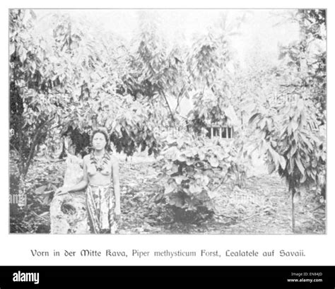 WOHLTMANN(1904) p117 Versuchsanbau auf der Insel Savaii Stock Photo - Alamy