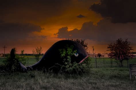 Eerie Images Of Americas Abandoned Amusement Parks Will Haunt You