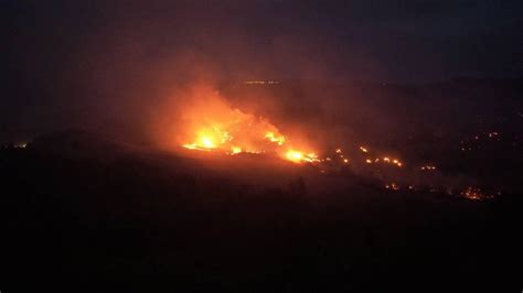 Adana da orman yangını Son Dakika Haberleri
