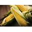 Consider Corn Challenge Winners Improve Products With  AGDAILY
