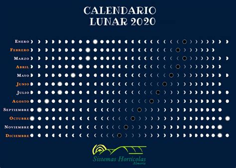 Calendario Lunar Para La Siembra De Frutas Y Hortalizas Sistemas