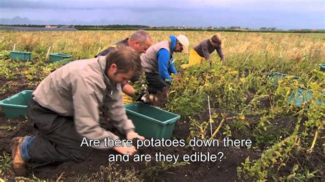 Wa Economics Salt Water Potato Farming Eng Hd Youtube