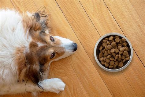 Near perfect macronutrients, fresh ingredients, and convienient delivery make it better than the competition. Best 22 Commercial Dog Foods for Cushing's Disease (Review)