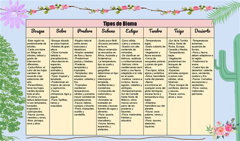 Cuadro Comparativo De Biomas Bosque Selva Pradera Sabana Estepa Cloud